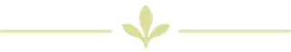 Folha Decorativa